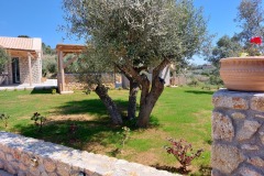 Exterior_26